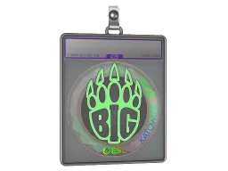 Sticker Slab | BIG (Holo) | Katowice 2019