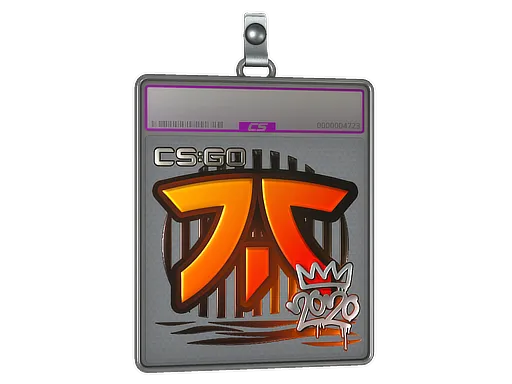 Sticker Slab | Fnatic (Foil) | 2020 RMR