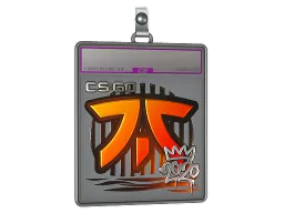 Sticker Slab | Fnatic (Foil) | 2020 RMR