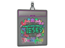 Sticker Slab | TeSeS (Holo) | Budapest 2025