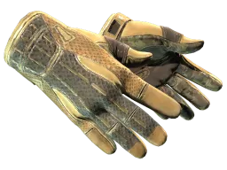 ★ Sport Gloves | Arid (Well-Worn)
