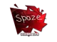 Sticker | spaze | Cologne 2016 CS2 skin