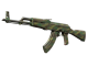 AK-47 | Jungle Spray (Well-Worn)