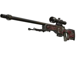 AWP | Duality (Well-Worn)