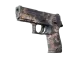 P250 | Drought CS2 skin