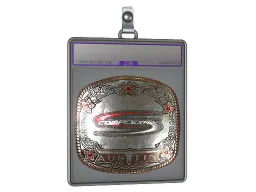 Sticker Slab | Complexity Gaming (Foil) | Austin 2025