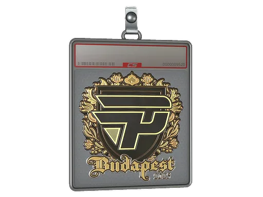 Sticker Slab | paiN Gaming (Gold) | Budapest 2025