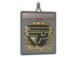 Sticker Slab | paiN Gaming (Gold) | Budapest 2025