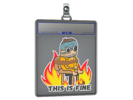 Sticker Slab | This Is Fine (H)