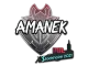 Sticker | AMANEK | Stockholm 2021 CS2 skin