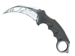 ★ StatTrak™ Karambit | Damascus Steel (Well-Worn)