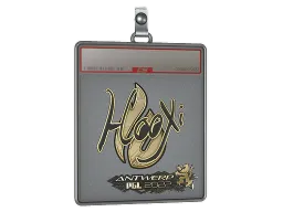 Sticker Slab | HooXi (Gold) | Antwerp 2022