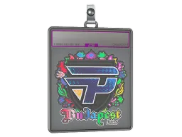 Sticker Slab | paiN Gaming (Holo) | Budapest 2025