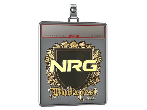 Sticker Slab | NRG (Gold) | Budapest 2025