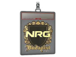 Sticker Slab | NRG (Gold) | Budapest 2025
