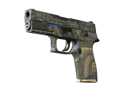 P250 | Exchanger CS2 skin