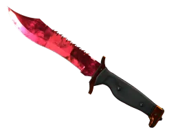 ★ Bowie Knife | Doppler (Factory New)