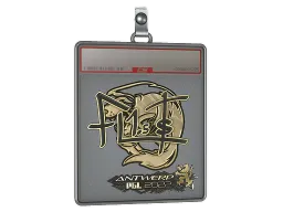 Sticker Slab | FL1T (Gold) | Antwerp 2022