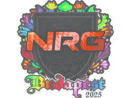 Sticker | NRG (Holo) | Budapest 2025