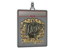 Sticker Slab | woxic (Gold) | Budapest 2025