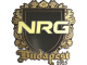 Sticker | NRG (Gold) | Budapest 2025
