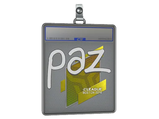 Sticker Slab | paz | Boston 2018