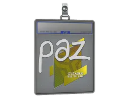 Sticker Slab | paz | Boston 2018