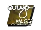 Sticker | arya | MLG Columbus 2016 CS2 skin