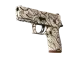 P250 | Gunsmoke CS2 skin