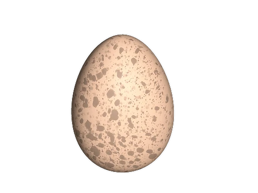 CS2 pet: Chicken Egg