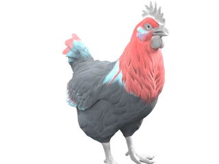 CS2 pet chicken: Catalana (Black with Red Head)