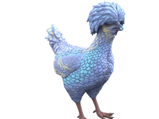 CS2 pet chicken: Polish (Blue and Yellow)