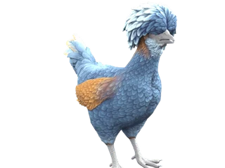 CS2 pet chicken: Polish (Blue)