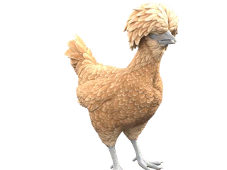 CS2 pet chicken: Polish (Brown)