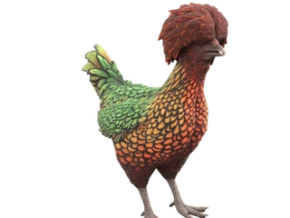 CS2 pet chicken: Polish (Green with Red Head)