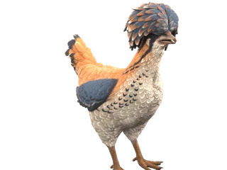CS2 pet chicken: Polish (Orange, White and Blue)