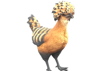 CS2 pet chicken: Polish (Orange with Black Stripes)