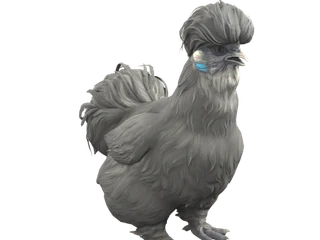 CS2 pet chicken: Silkie (Black)