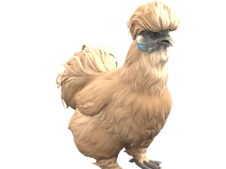CS2 pet chicken: Silkie (Brown)