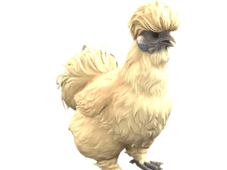 CS2 pet chicken: Silkie (Leopard)