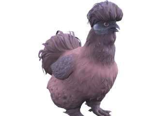 CS2 pet chicken: Silkie (Purple)