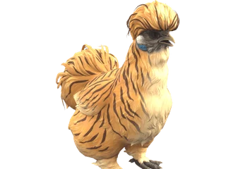 CS2 pet chicken: Silkie (Tiger)