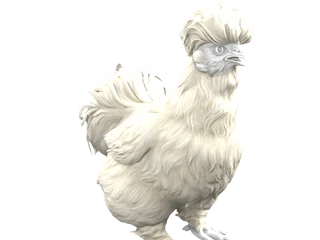 CS2 pet chicken: Silkie (White)